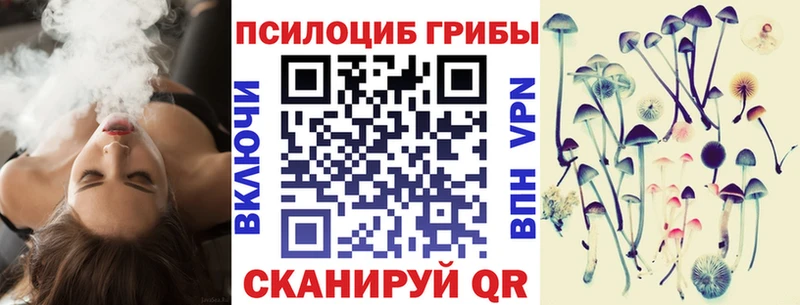 Купить  Любань  Псилоцибиновые грибы MAGIC MUSHROOMS 