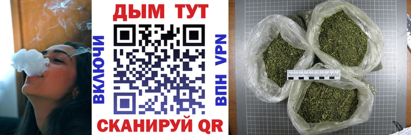 Купить где Любань Конопля SATIVA & INDICA
